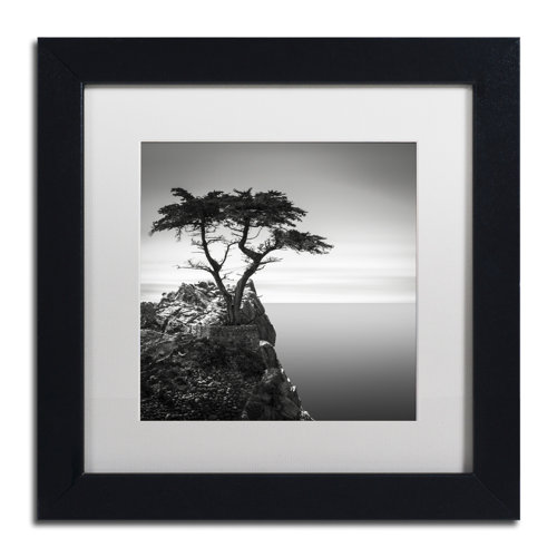 Black Framed Wall Art You'll Love Wayfair